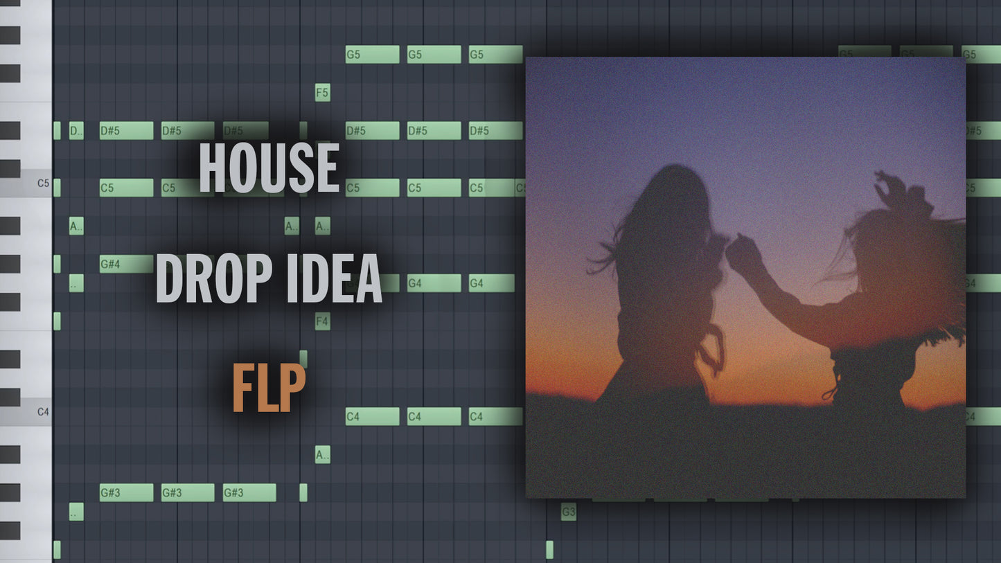 HOUSE DROP FLP